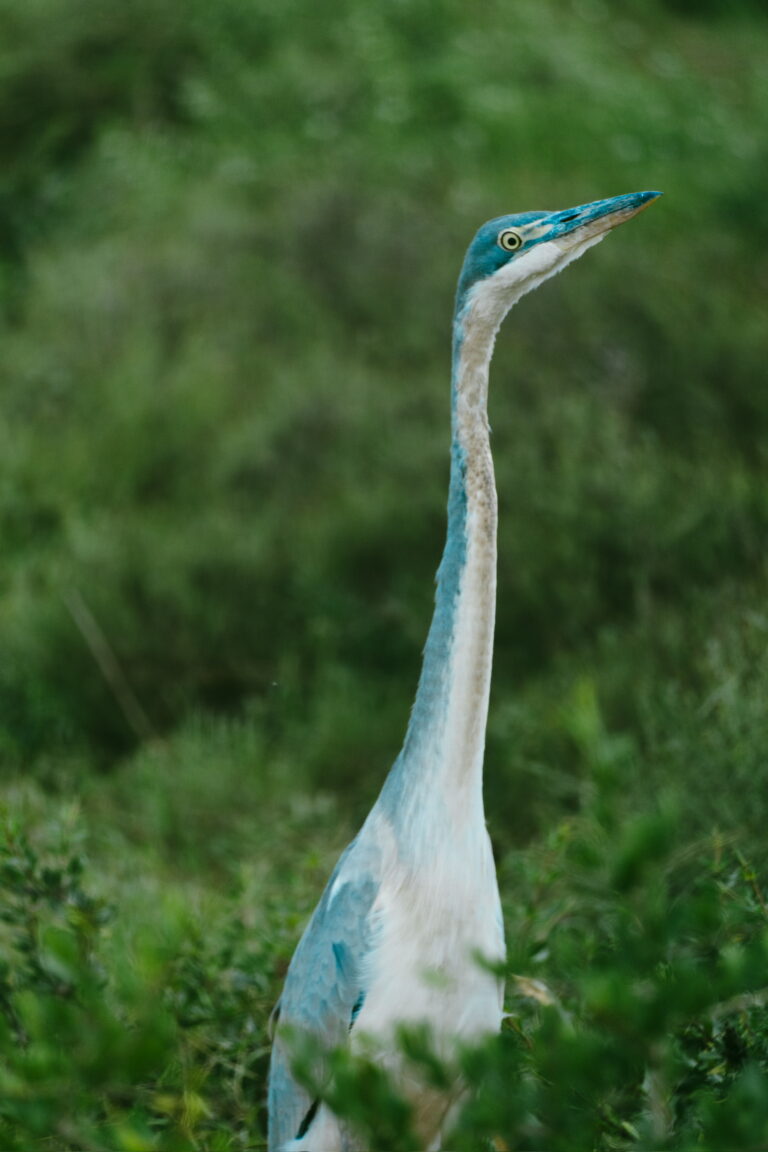 DSC00587